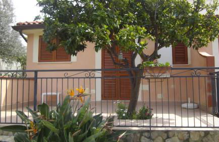 Appartamento con stanza singola e giardino - Foto 2