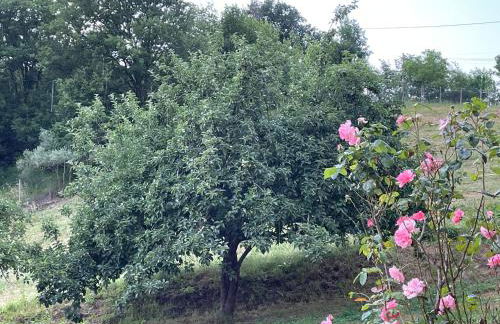 luxury villa Arianna - Foto 17