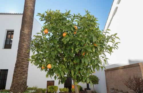 Palacio Muñoz Chaves Cáceres - Foto 40