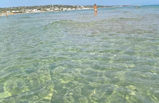 Dolce Mimì - Foto 13