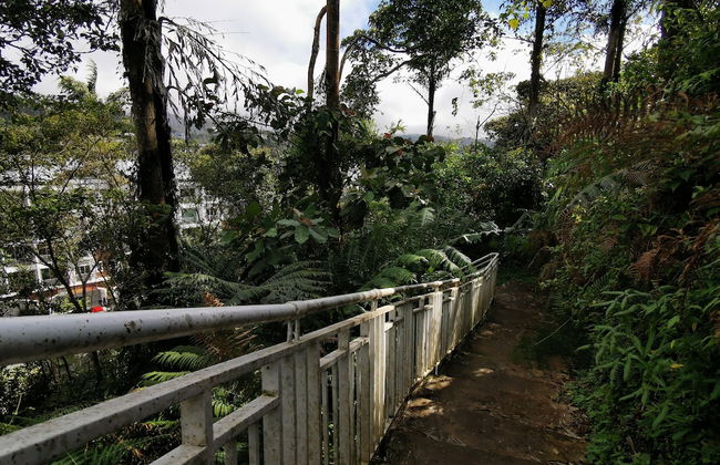 The Woodz Homestay - Foto 66