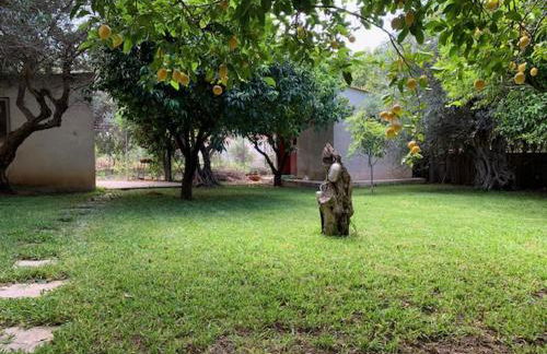 Σπίτι στο Ρίο Πατρών με κήπο - Detached House In Rio With Garden - Foto 49