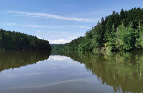 Altes Forsthaus Bodenmais - Foto 43