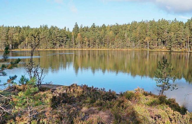 4 Person Holiday Home in Skarblacka - Foto 5