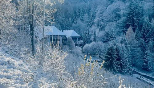 Ferienwohnung Riese - Foto 2