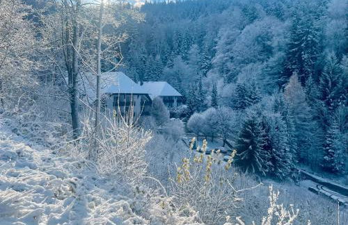 Ferienwohnung Riese - Foto 2