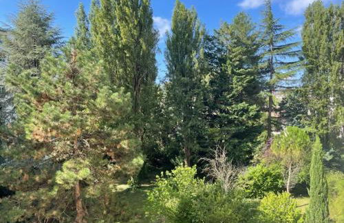 Charmant 2 pièces vue sur jardin - Foto 9