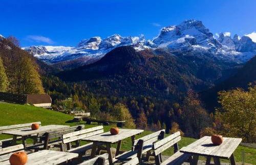 Agriturismo Chalet Fogajard - Foto 53