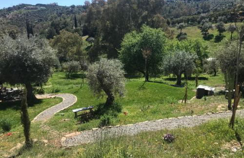 Studio Views Apartment, Cortijo Fruitful Hills - Photo 16