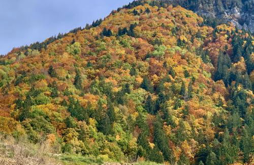 Hôtel et appart'hôtel de l'Hermitage - Foto 41