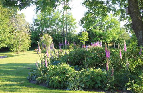 Kiekutsland - Foto 44