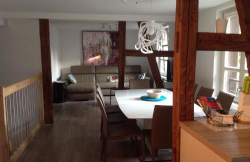 A L'ill - Apparts & Studios Strasbourg Hyper Centre - Foto 22