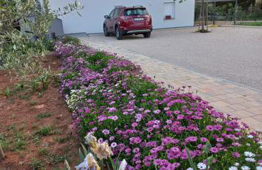 lastva 1&2 - Photo 3