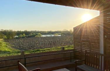 L'Espérance vue sur la vigne et la Loire - Foto 23