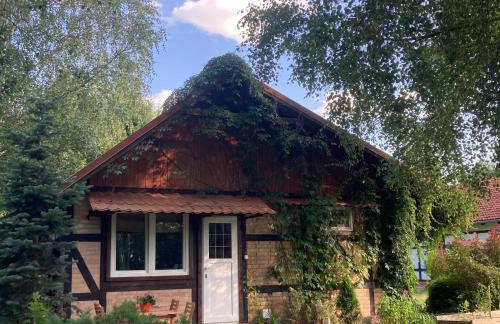 Letnia Oficyna - Foto 3