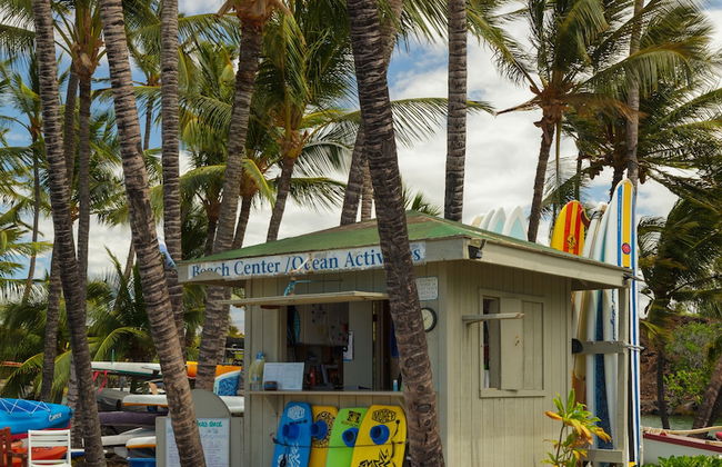 Fairways at Mauna Lani - Foto 30
