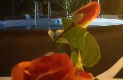 Il nido - Photo 17