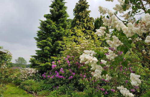 Ferienwohnung Monschauer Land - Foto 38