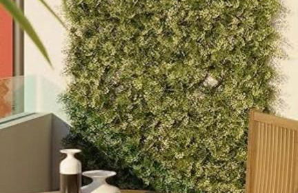 Don Ciccio's House - Foto 26