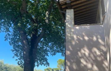 Le Ghiande - Foto 21