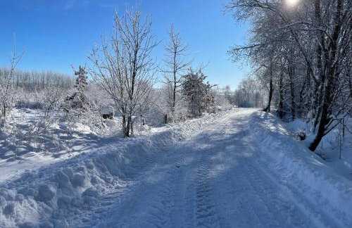 Gittas Paradiesperle - Foto 20