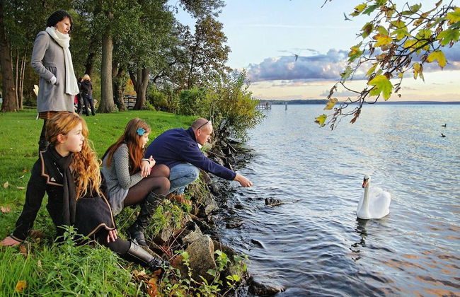 Holiday Homes in the Bad Saarow Castle Park, Bad Saarow - Foto 79