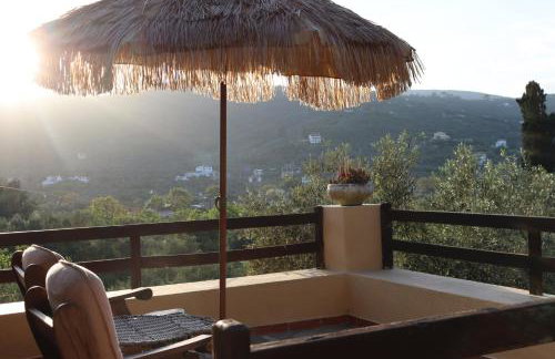 Olive Yard House - Foto 3