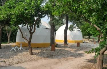 Páteo das Laranjeiras - Foto 39