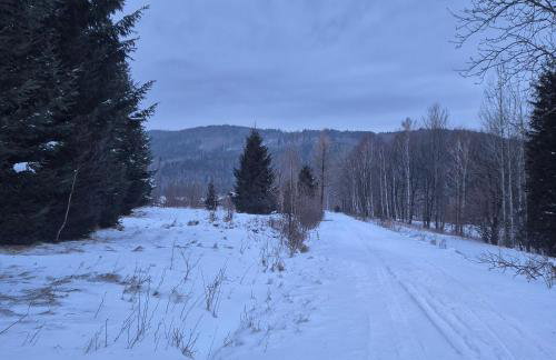 Wypoczynkowy Zakątek w Górach - Foto 3