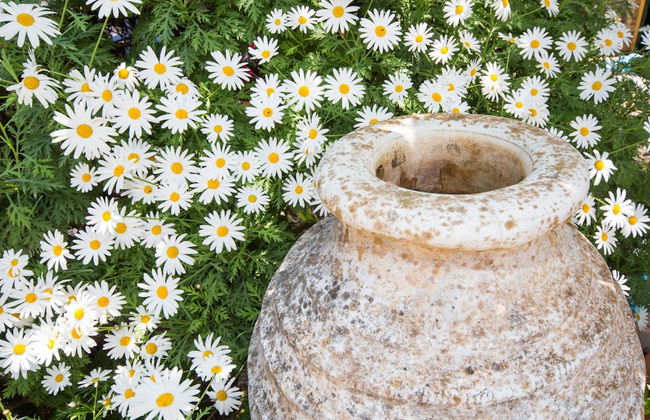 Marguerita House in Paxi - Photo 30