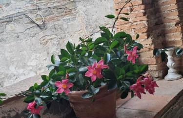 The Mandarine, Orangery Retreat - Photo 36