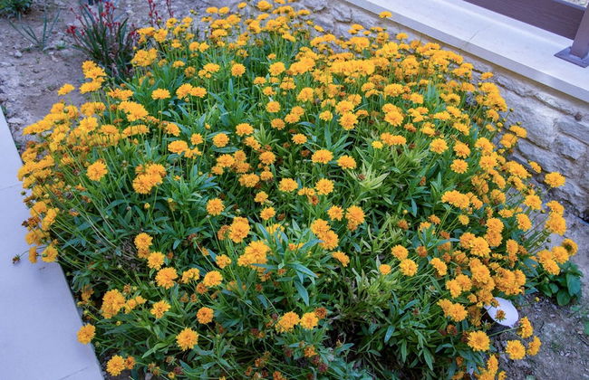 Villa Aloni - Foto 66