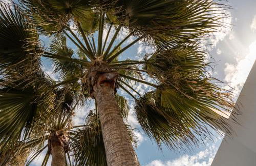 Villa Hondartza Corralejo - Photo 26
