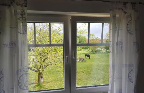 harle-casa.ostfriesland - Foto 25