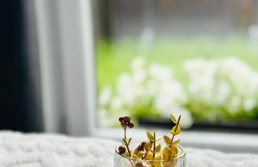 Apartament Mistral 2 - Foto 1