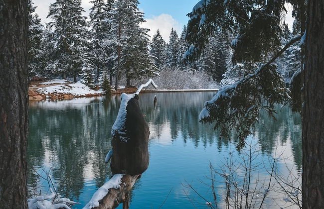 Forest Princess Chalet - Foto 20