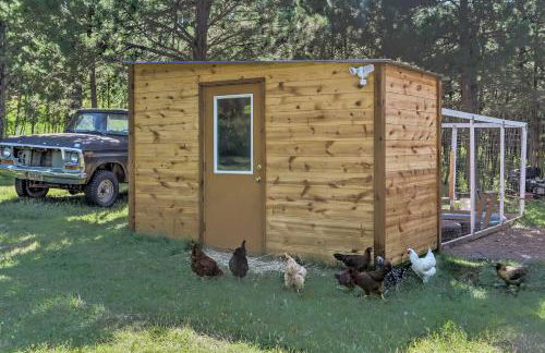 Rapid City Cabin with Hiking and ATV Trail Access - Foto 26