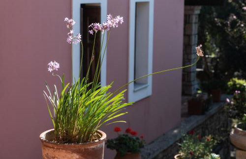 Villa Belvedere - Photo 28