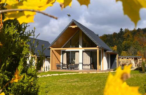 Galena i Gnejs - Foto 25