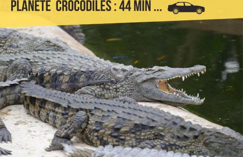 Appartement entier meublé à Beaumont proche Futuroscope et Poitiers Technopole - Foto 69