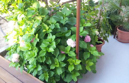 Longo Apartment - Foto 21