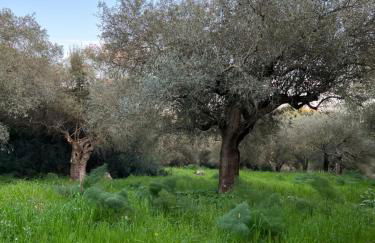 Muristene Pozzo Santa Cristina - Foto 17