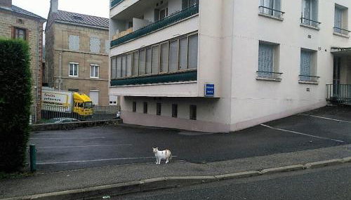 Bel appartement a vivre - Foto 2