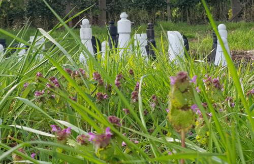 Gästehaus am Kattensteert - Foto 33