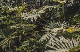 VILLA QUINTA TORRINHA Rooms - Foto 28