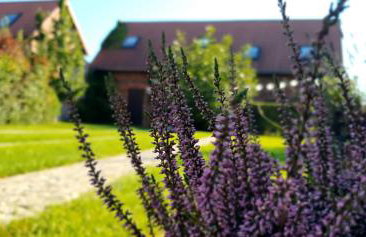 Dom Gościnny Magiczna Stodółka - Foto 18