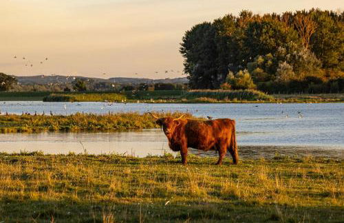 Holiday Home Among Apple Trees Near The Baltic Sea - Foto 32