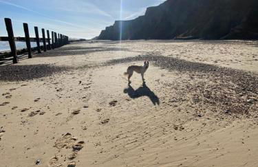 Augusta garden apartment - Foto 19