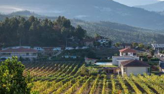 Casa Flor do Campo - Foto 5