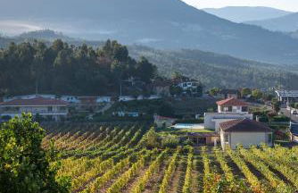 Casa Flor do Campo - Foto 5